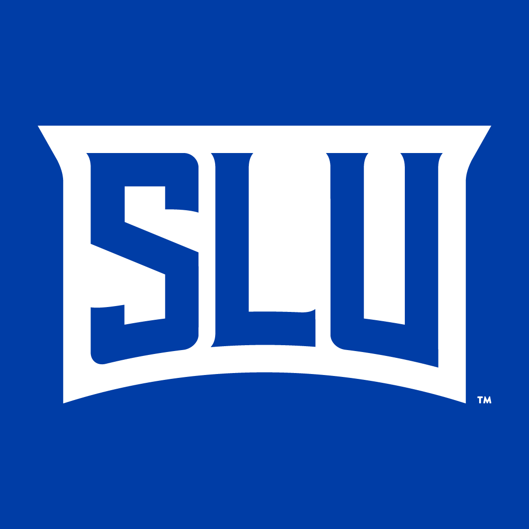 Saint Louis Billikens 2015-Pres Wordmark Logo v2 iron on transfers for T-shirts